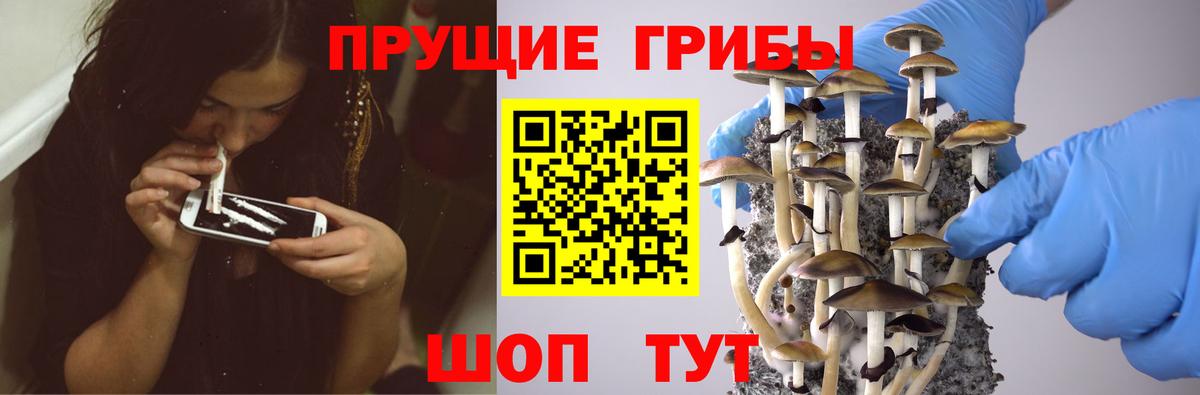 Псилоцибиновые грибы Magic Shrooms  Вход с VPN  Костомукша 